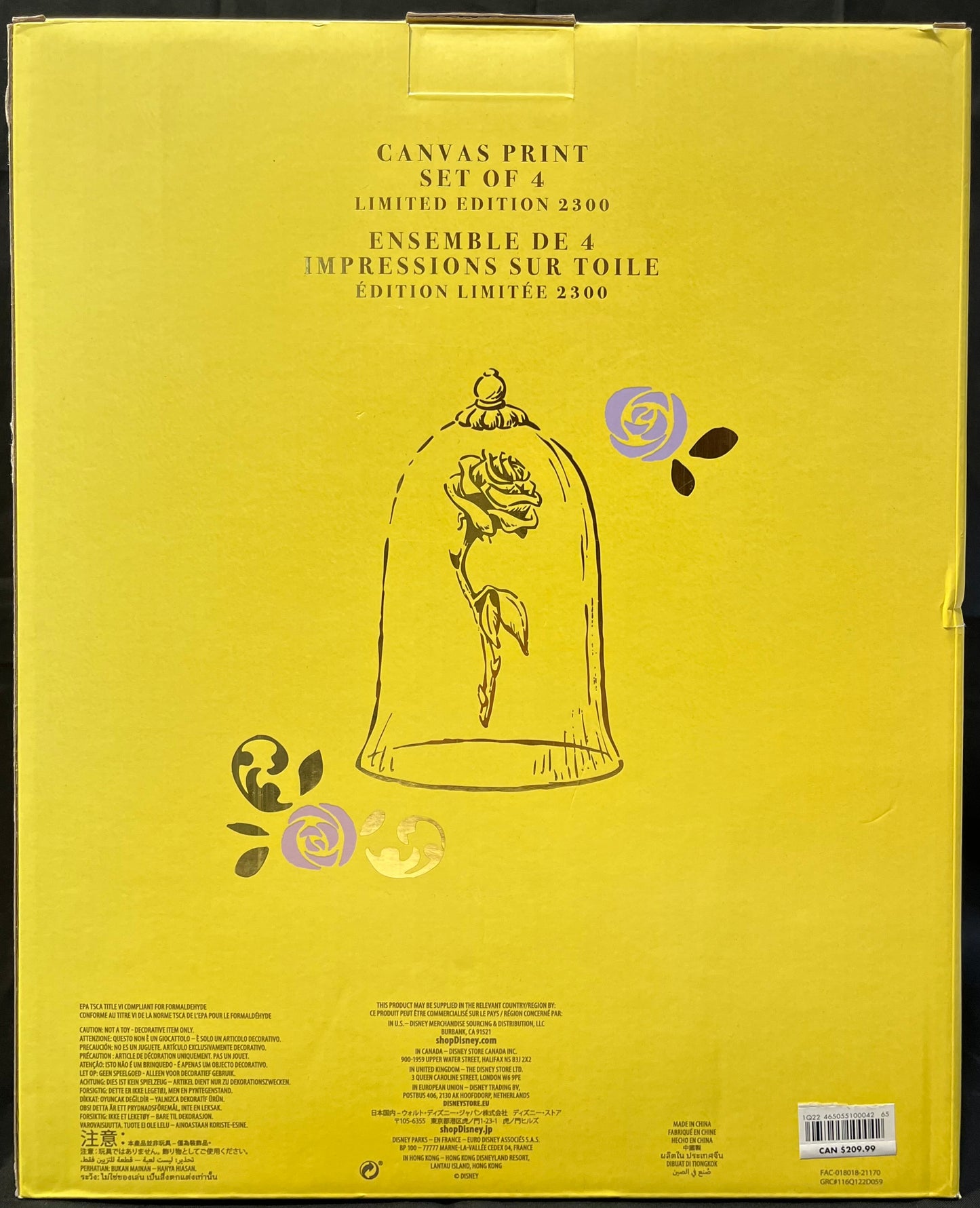 Beauty and the Beast 30 Years Anniversary